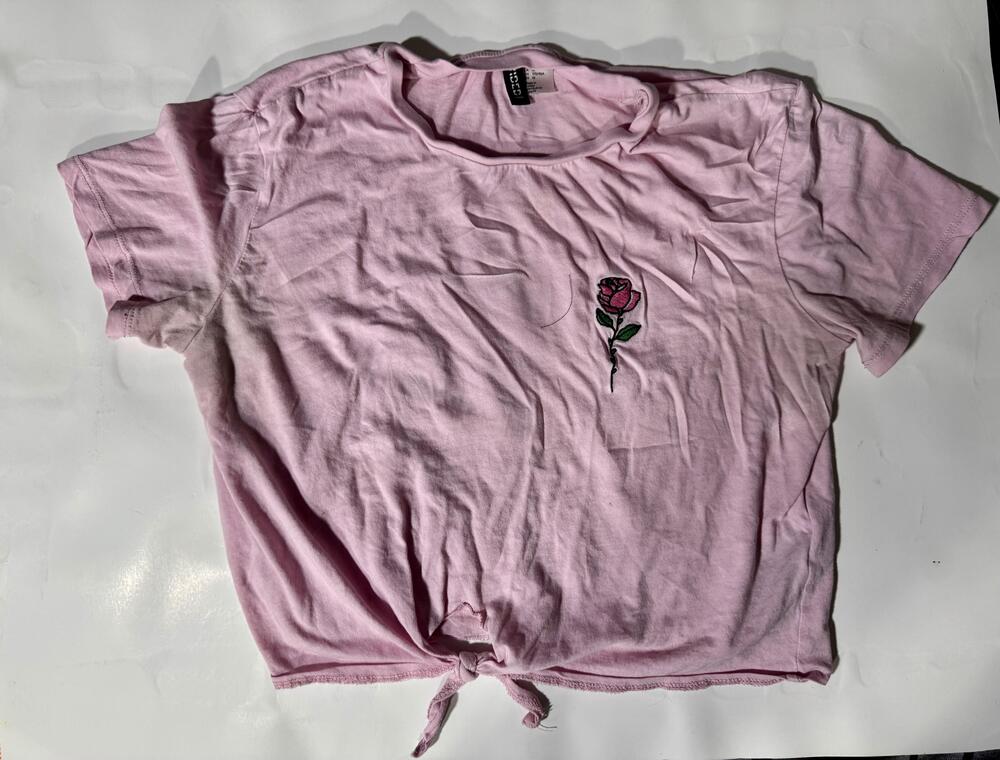 H&M Divided Shirt Womens Medium Pink Rose Embroidered Tie Front Crop Top